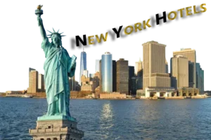 Indigo BROOKLYN  Agent